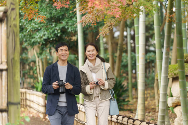 50代で保険に入ってない人は危険?後悔しないために知るべきこと-サムネイル画像